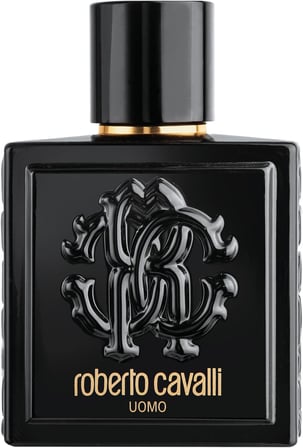 Roberto Cavalli Uomo EDT 100 ml Erkek Parfüm