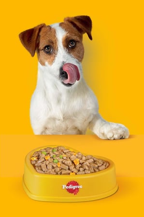 Pedigree Köpekler İçin Dentastix Ödül Maması, 110 Gr