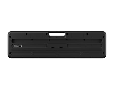 Casio CT-S100 61 TUŞLU ORG