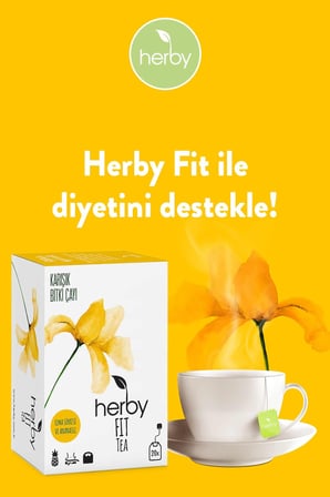 Herby Fıt Tea,20 Poşet