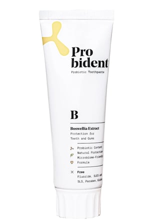 Probident Aktif Probiyotikli Florürsüz Akgünlük Özüt İlaveli Doğal Diş Macunu 75mL