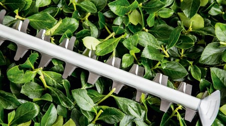 Bosch Garden Çit kesme makinesi UniversalHedgeCut 60 (480 W, bıçak uzunluğu: 60 cm, orta bü