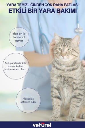 Veturel Kedi Köpek Yara Bakımı Deri Günlük Bakım Yanık Kızarıklık Tahriş Hot Spot Yara Spreyi 300ml
