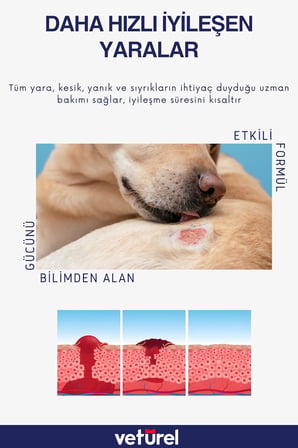 Veturel Kedi Köpek Yara Bakımı Deri Günlük Bakım Yanık Kızarıklık Tahriş Hot Spot Yara Spreyi 300ml