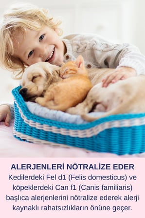Köpek Koku Giderici Köpek Ağız Kokusu Köpek Sağlık Köpek Bakım PET 750ml - Ağız Diş Bakım Spreyi