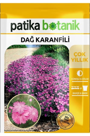 50 Adet Dağ Karanfili Çiçek Tohumu