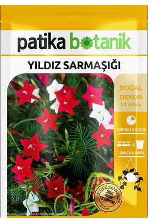 5 Adet Yıldız Sarmaşığı Çiçek Tohumu