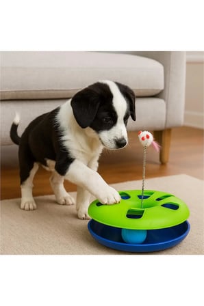 TİNEKE Çıngarak Toplu Yaylı Fareli Kedi Çember Oyuncağı Eğlence Aksesuarı Kedi Oyun Çemberi YEŞİL