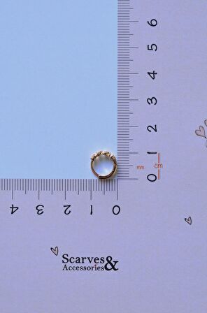 Sıralı Mini Kalpli Halka Tragus Piercing Helix Kıkırdak