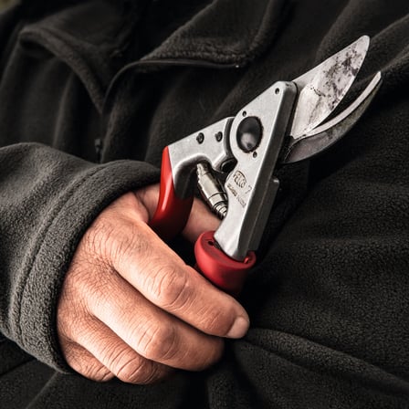 Felco 7 Budama Makası Döner Saplı By-Pass 25 mm Kesme Kapasitesi Profesyonel