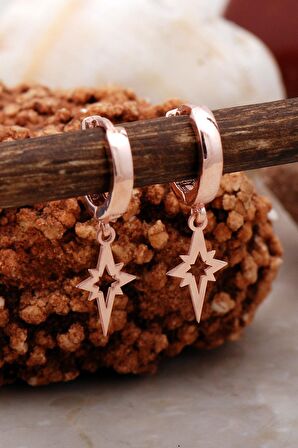 Kutup Yıldızı Rose Gümüş Küpe 5408