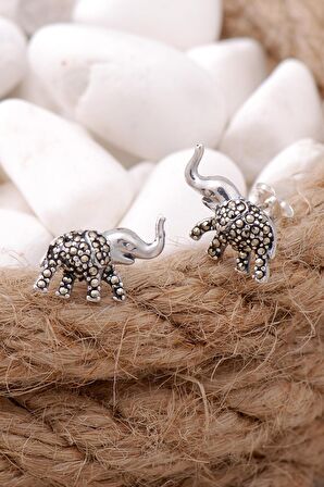 Fil Markazit Taşlı Gümüş Küpe 5721