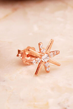 Kutup Yıldızı Mini Rose Gümüş Küpe 6919