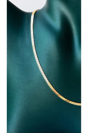 Sertifikalı 316L Çelik Premium Altın Kaplama İnce Gurmet (Curb Chain) Kadın Kolye