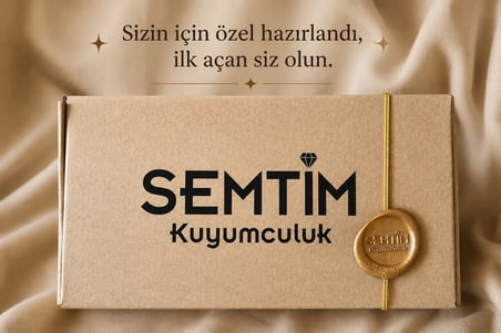 Sertifikalı 316L Çelik Buz Mavisi Taşlı Güneş Işını Figürlü Premium Gümüş Renk Tragus ve Helix Piercing