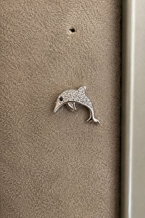 Sertifikalı 316L Çelik Taşlı Yunus Figürlü Premium Gümüş Renk Tragus ve Helix Piercing