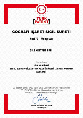Şile Kestane Balı 400 gr - 2024 Paris Lezzet İstanbul Şile Coğrafi İşaretli