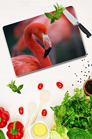 Cam Kesme Tahtası - Cam Kesme Tablası | Model 70 30 Cm X 40 Cm