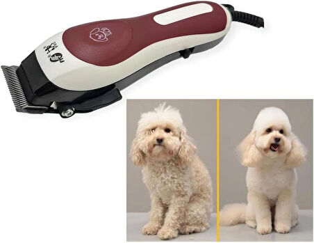 Elektirikli kedi köpek pet ev hayvanı traş makinesi