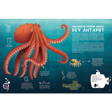Su Altı Dünyasını Keşfedin - Ciltli Atlas Kitabı