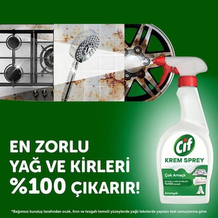 Amonyak ile Yağ ve Kir Sökücü Yüzey Temizleyici 750 ml Ferah Koku