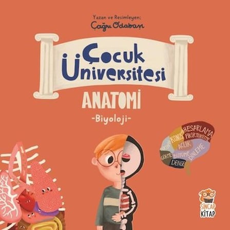 Biyoloji Bilgileri: Çocuklar İçin Eğitici Anatomik Bilgiler