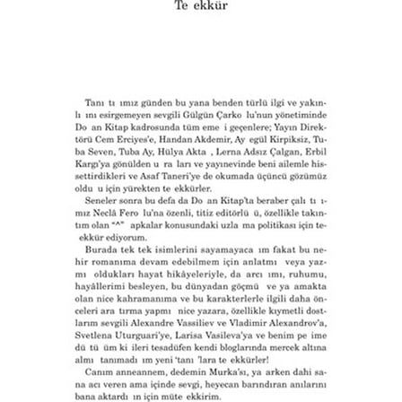 Kıyametin Eşiğinde Bir Roman