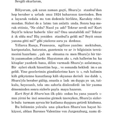 Kıyametin Eşiğinde Bir Roman