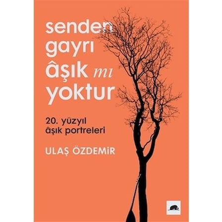 Ulaş'ın Senden Gayrı Aşık mı Yoktur Temalı Düşünceleri