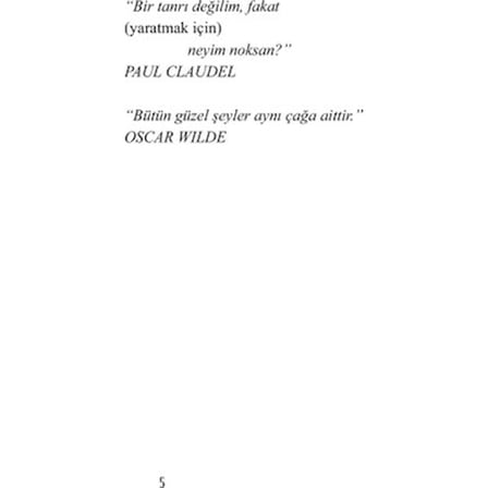 Yoksullar ve Şairler: Edebi Bir Anlatı