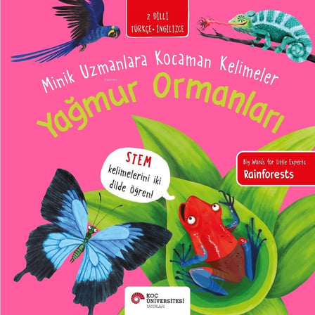 Yağmur Ormanları: Minik Uzmanlar için Eğlenceli Bilgi