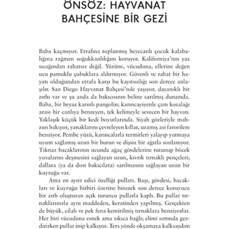 Mikrobiyota İçindeki Mikroplar: Sağlık Üzerine Bilimsel Bakış