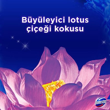 Yoğun Parfümlü Lotus Çiçeği WC Bloğu