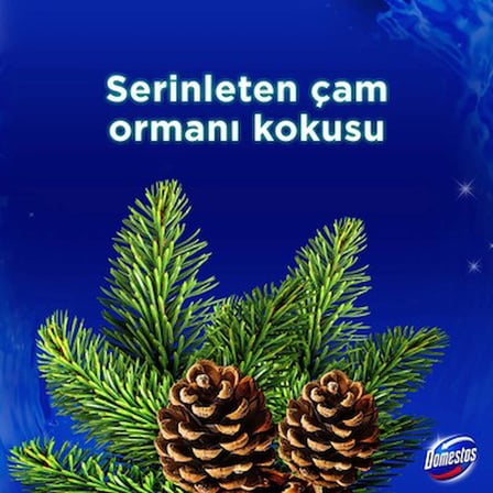 Yoğun Parfümlü Çam Ormanı Tuvalet Bloğu