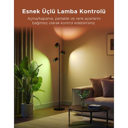 3'lü Spot Aydınlatma, 36W RGB Işık Renkleri ile