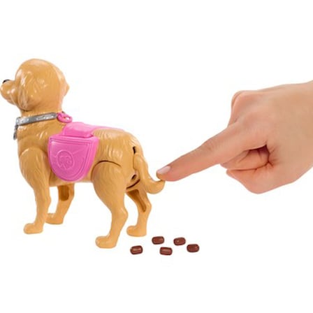 Barbie ile Evcil Hayvan Yürüyüş Seti, Eğlenceli Oyun Deneyimi