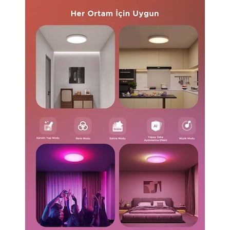 Yuvarlak 30 cm Tavan Armatürü ile Renk Seçenekleri