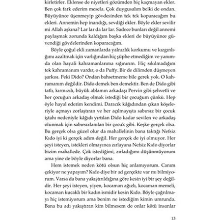 Figen'in Yanlışlıkla Mutlu, Eğlenceli Bir Roman