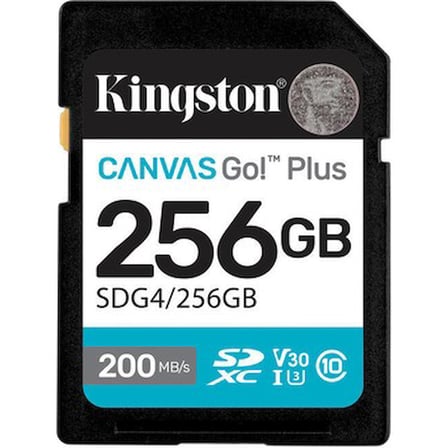 256GB Sd Canvas Go+ ile Yüksek Kapasite ve Performans