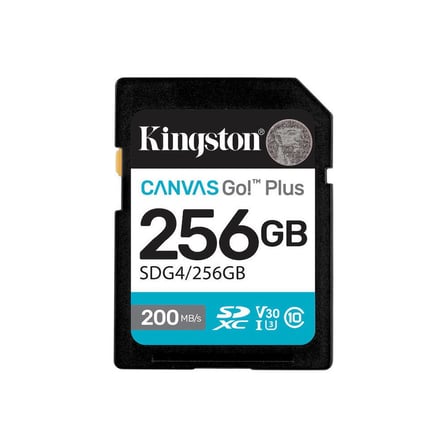 256GB Sd Canvas Go+ ile Yüksek Kapasite ve Performans