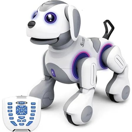 Uzaktan Kumandalı Programlanabilir Robot ile Eğlence