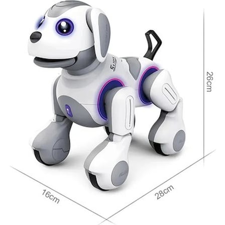 Uzaktan Kumandalı Programlanabilir Robot ile Eğlence