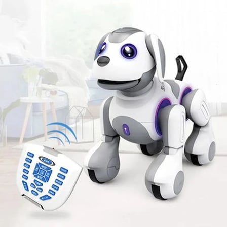 Uzaktan Kumandalı Programlanabilir Robot ile Eğlence