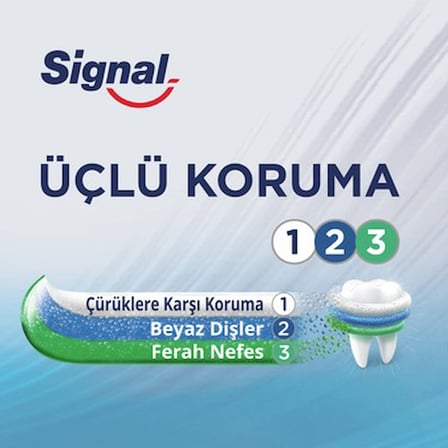 Üçlü Koruma Diş Macunu 120 ml Nane Aromalı