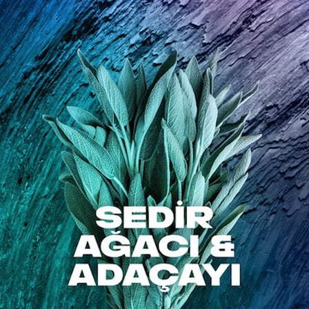 48 Saat Etkili Erkek Sprey Deodorant Ferahlatıcı Koku 200 Ml