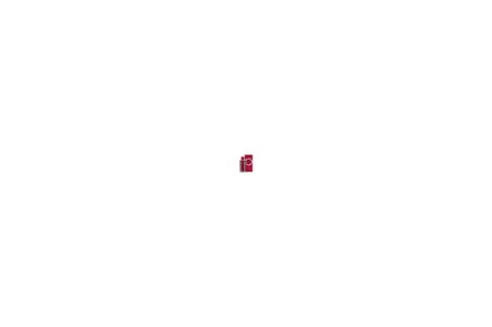 Salvatore Ferragamo Ferragamo Red Leather Eau De Parfum 100 ml Erkek