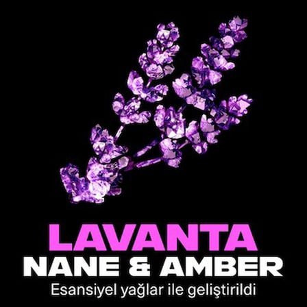 50 ml Mavi Lavanta Özlü Erkek Stick Deodorant, Premium Koruma