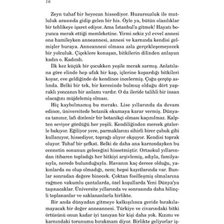 İstanbul: Şehrin Tarihi ve Kültürel Zenginlikleri