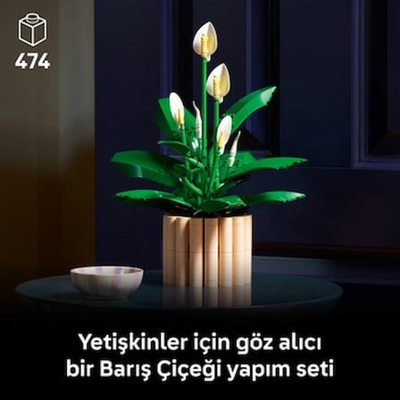 Barış Çiçeği - Yetişkinler için Koleksiyonluk Bitki Seti