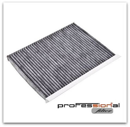 Sıon Sc5149K Polen Filtresi Karbonlu Bravo II 07> Stılo 01>06